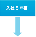 入社5年目